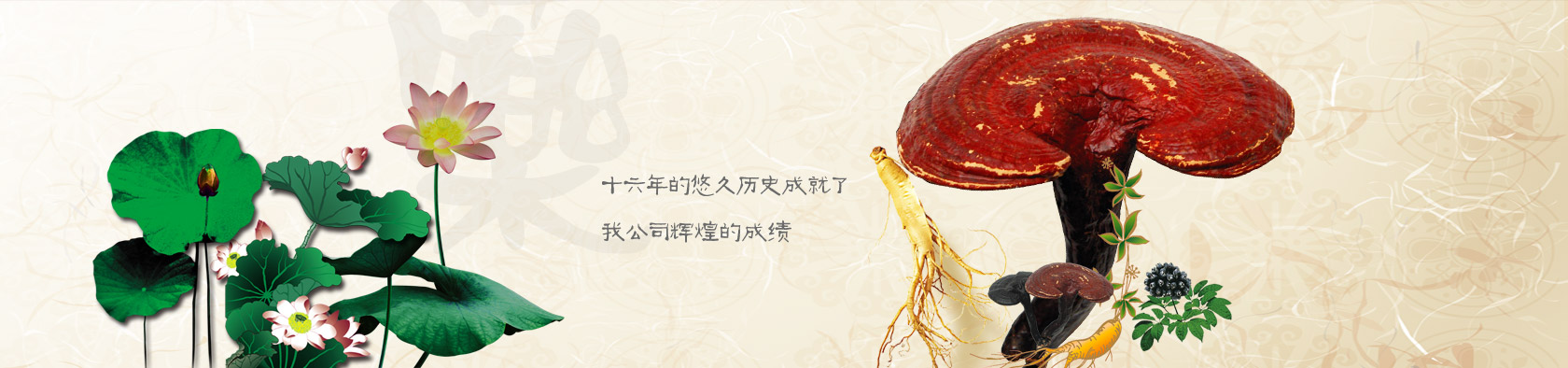 安国市珍和中药材有限公司