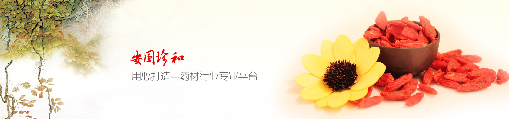 安国市珍和中药材有限公司