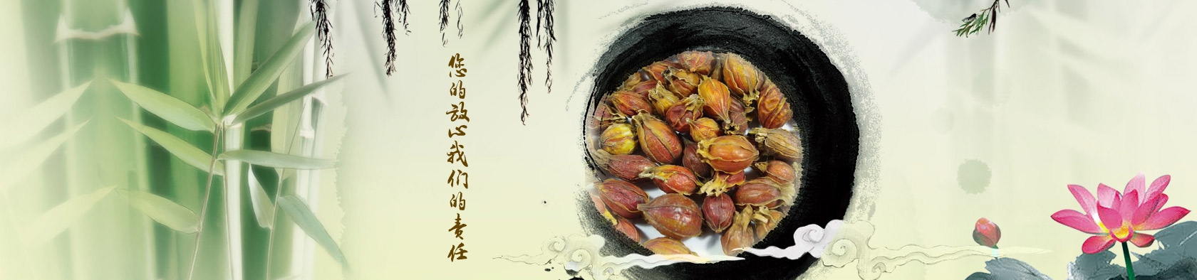 安国市珍和中药材有限公司